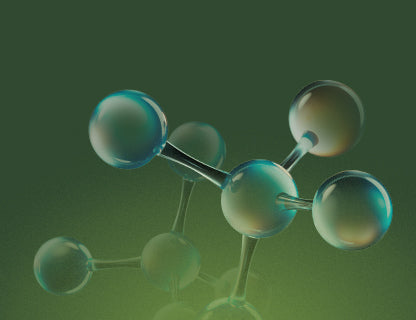Bioaktivní vitaminy skupiny B