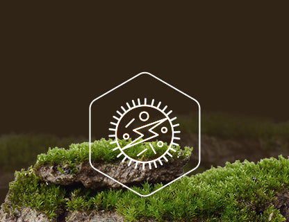 Nikotinamid‑ribosid‑chlorid, energetický zdroj buněk