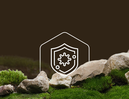 Selen, imunitní štít