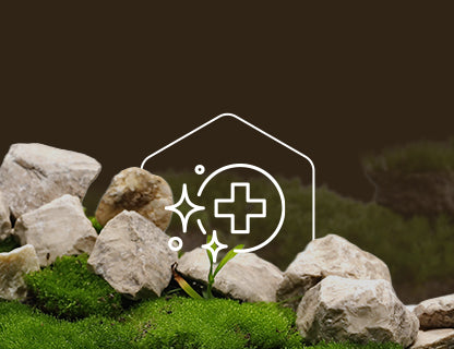 Trans-resveratrol, síla polyfenolů